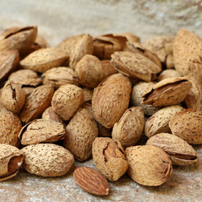 Mandeln in der Schale