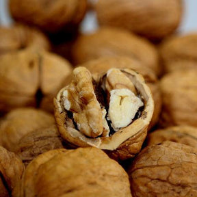 Walnüsse ganz