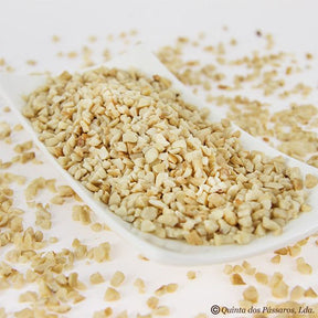 Cashewkerne Kleinbruch