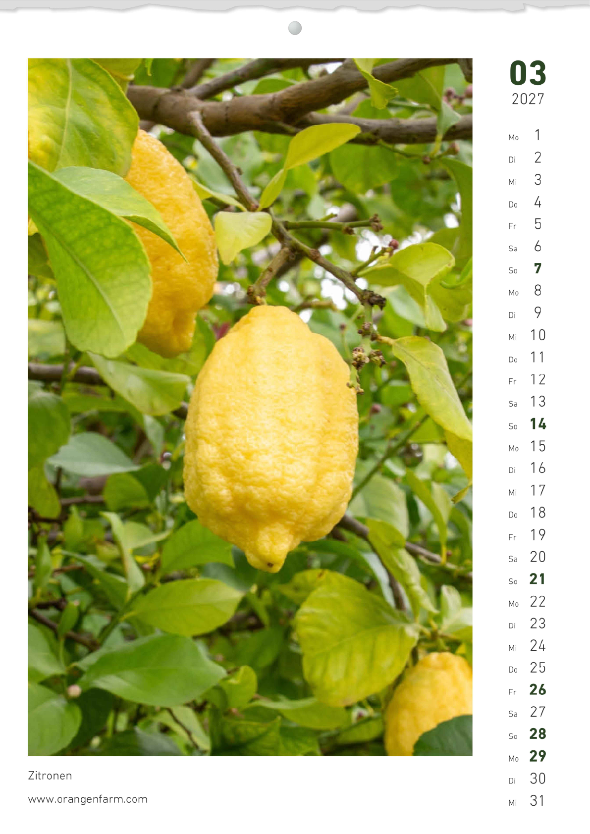 Monatskalender 2027 März
