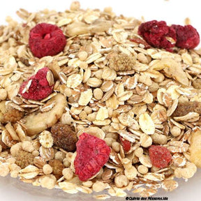 Power-Früchte-Müsli