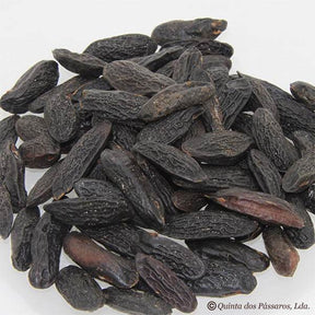 Tonkabohnen getrocknet