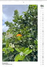 Quinta Montaskalender 2026 April