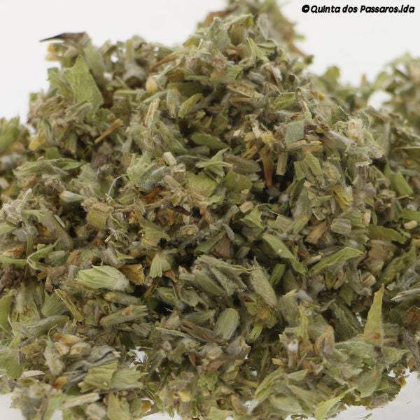 Greek mountain tea (fleabane) – mild & aromatic – Orangenfarm Portugal