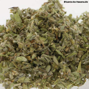 Griechischer Bergtee Berufskraut geschnitten