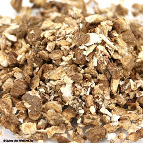 Klettenwurzel geschnitten