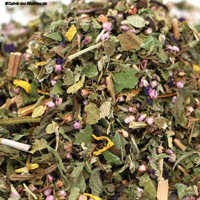 Haustee mit Pfefferminz