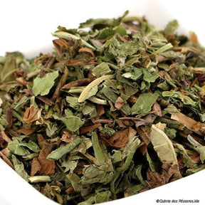 Löwenzahnkraut mit Wurzel geschnitten