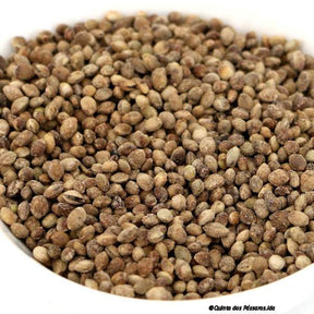 Knabber-Hanf geröstet süß