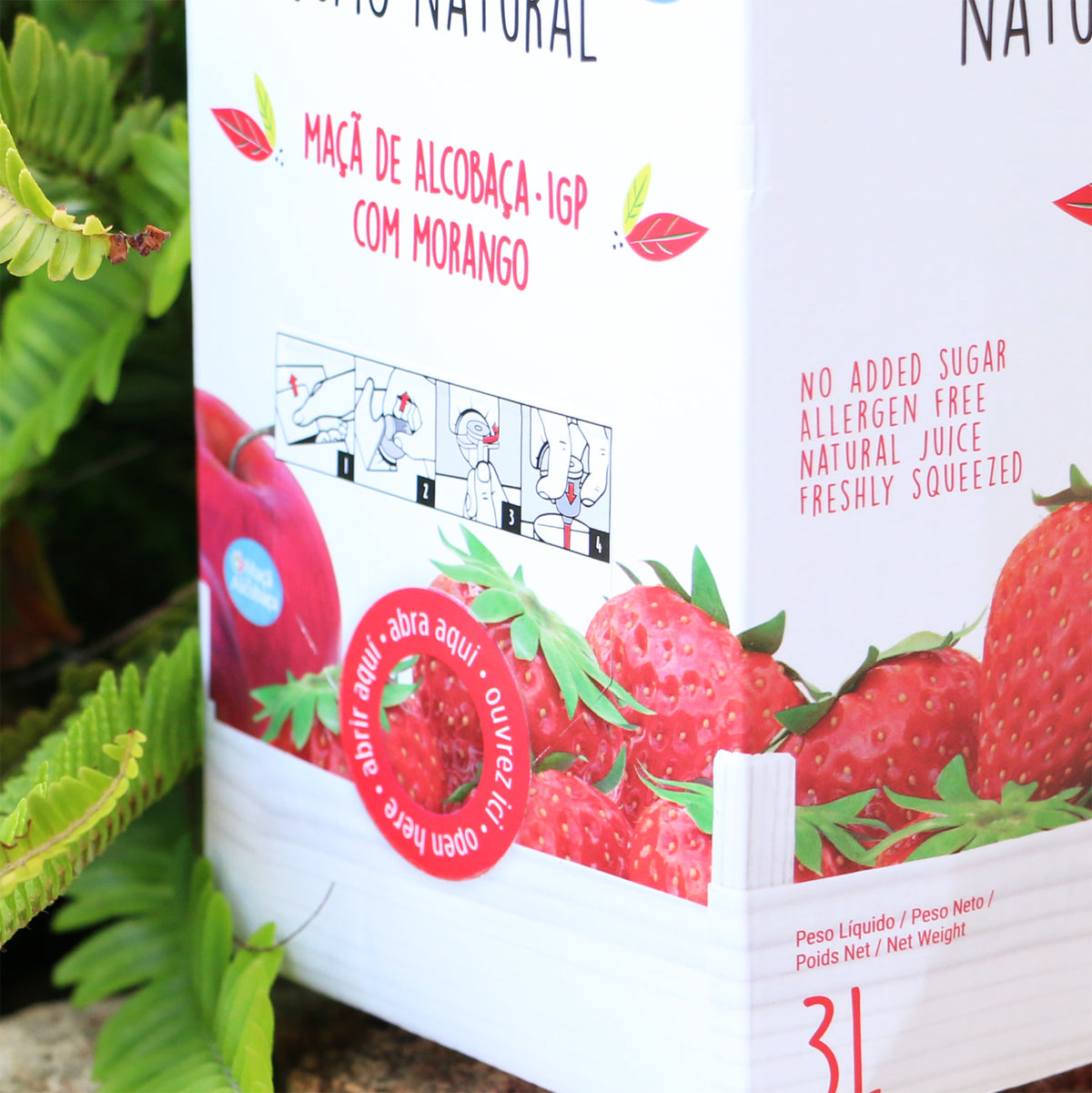 Apfel-Erdbeer-Direktsaft  Frutta Nature Zapfhahn