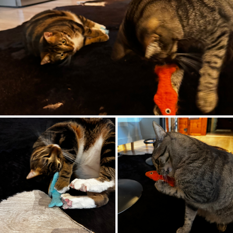 Katzenspielzeug aus 100% Wolle mit Katzenminze, Katzen am spielen