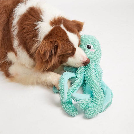 Grüner Oktopus – Robustes Hundespielzeug mit Hund