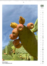 Quinta Montaskalender 2026 August