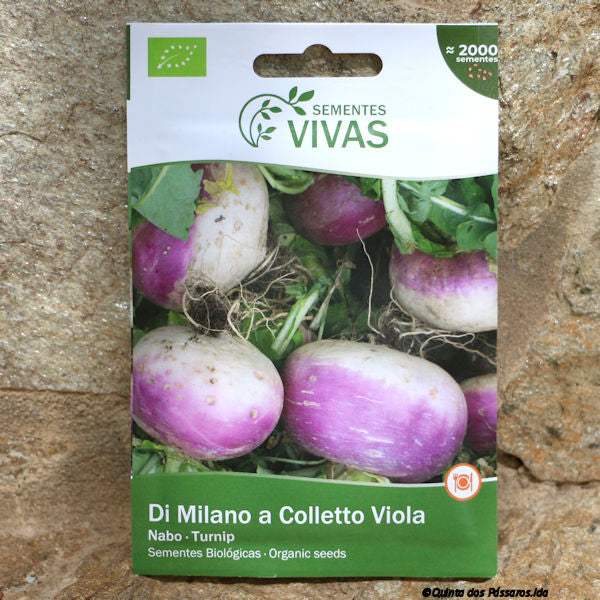 Radish Di Milano Viola Seeds / Sementes de nabo di milano viola, organic, unidade