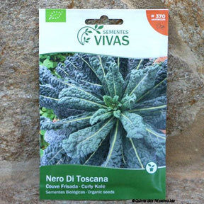 Kohl Nero di Toscana Saatgut