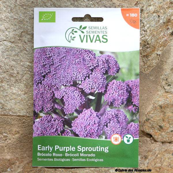 Broccoli Purple, Early Purpe Sprouting) Seeds / Sementes de brócolos roxo, Organic, unidade