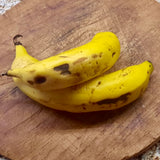 Bananes Madère / Banana da madeira unidade