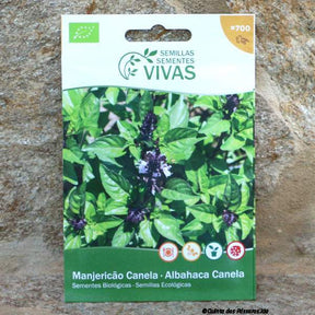 Basilikum Zimt Saatgut