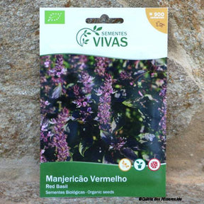 Basilikum rotblättrig Saatgut 