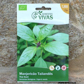 Basilikum-Thai Saatgut 