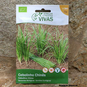 Schnittknoblauch Saatgut