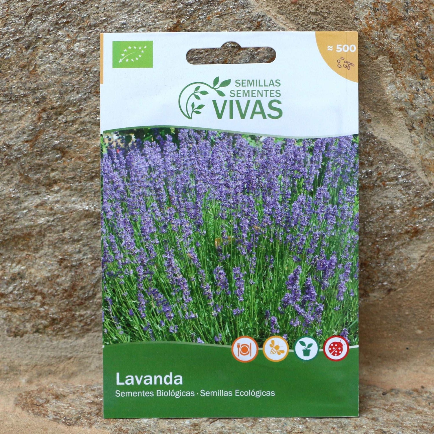 organic lavender seeds Organic Lavender Seeds – Perennial Plant – Orangenfarm Portugal