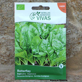 Spinat Butterflay Saatgut 