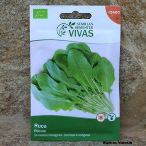 Rucola ruca Saatgut 