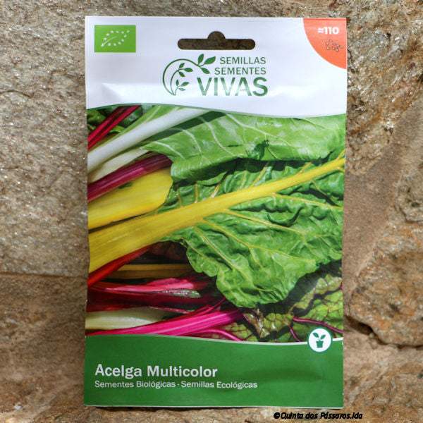 Chard Rainbow Seeds / Sementes de acelga multicolore, biologique, unidade