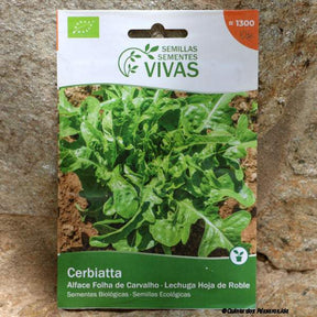 Salat Cerbiatta Saatgut 