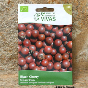 Tomate Black Cherry Saatgut