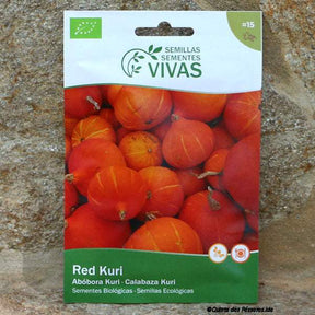 Kürbis Red Kuri Saatgut