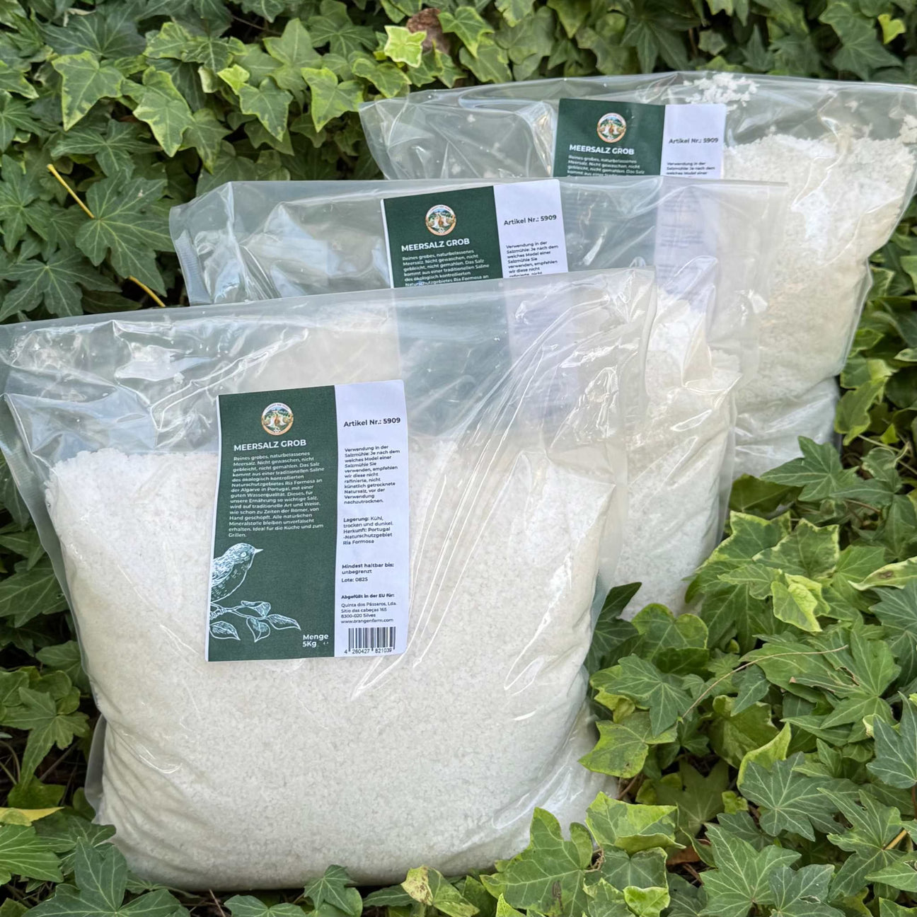 Meersalz grob Vorratspack 3 x 5 Kg