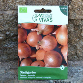 Zwiebeln Stuttgarter Saatgut 