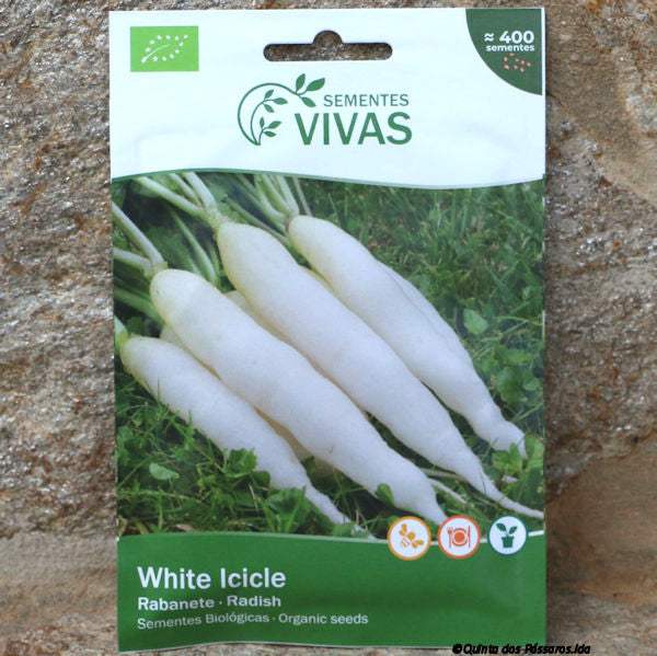 Radish Icicle Seeds / Sementes de rabanete white icicle, organic, unidade