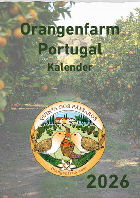 Quinta Montaskalender 2026 Titelblatt