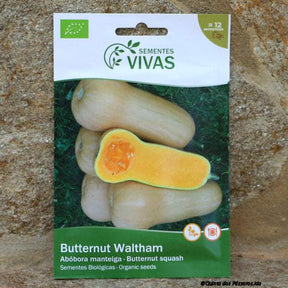 Kürbis Butternut Waltham Saatgut 