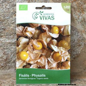 Physalis Saatgut 