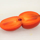 Persimmons / Diospiros