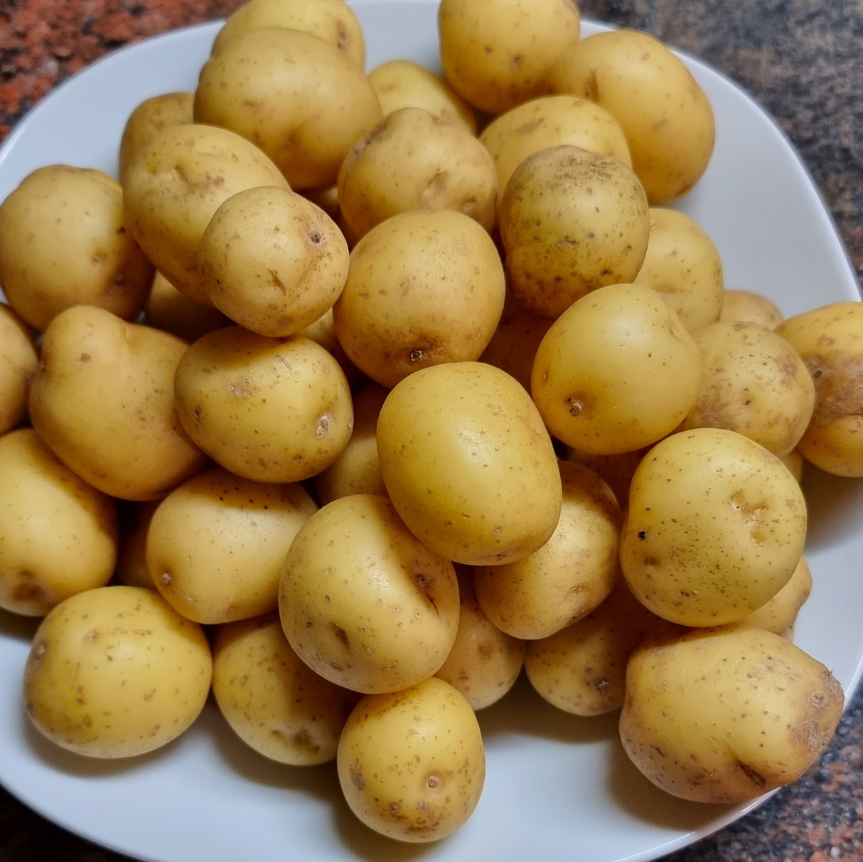 Kartoffeln kleine / Batata pequena assar unidade